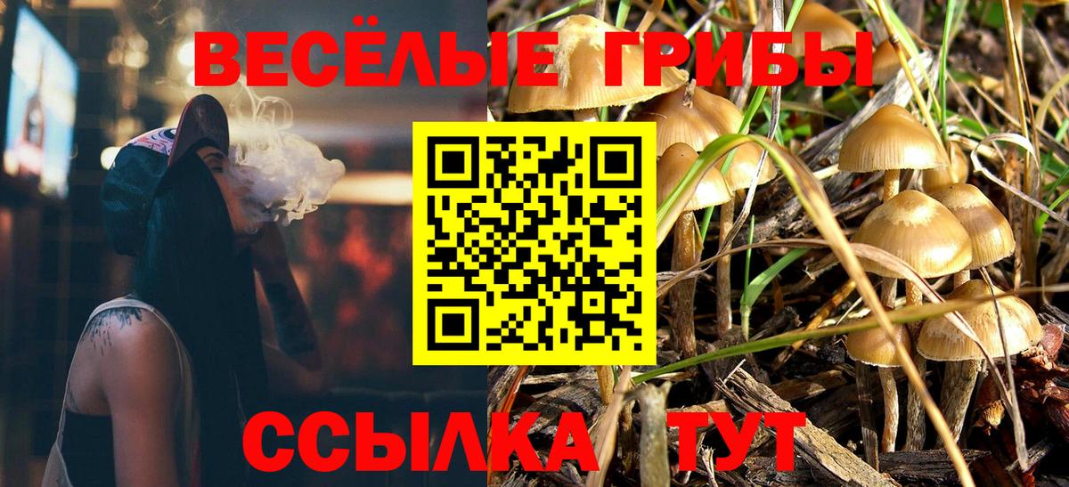Пенза  Псилоцибиновые грибы GOLDEN TEACHER  Вход с VPN  Псилоцибиновые грибы MAGIC MUSHROOMS 